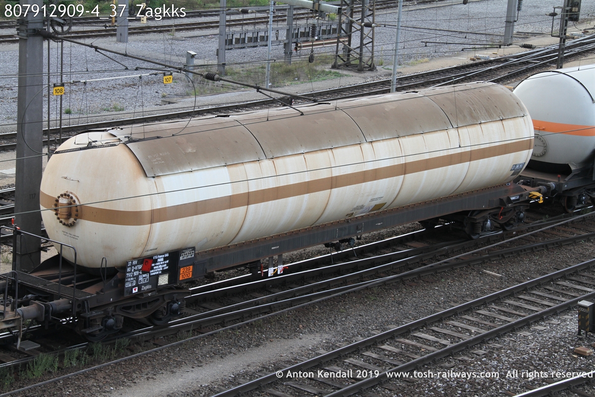 807912909-4_37_Zagkks.JPG